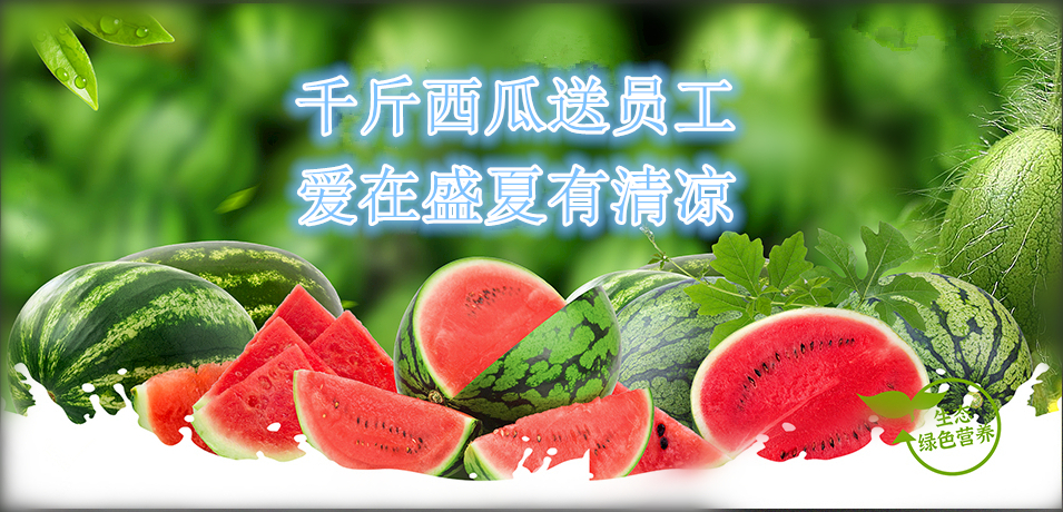 通達(dá)軟件公司： 千斤西瓜送員工，愛在盛夏有清涼